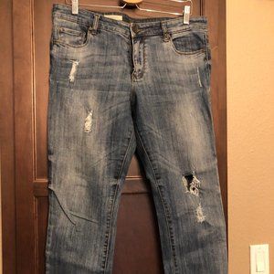 Ankle Straight Leg Jeans kut from the kloth